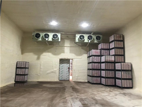 苹果保鲜库 苹果保鲜库